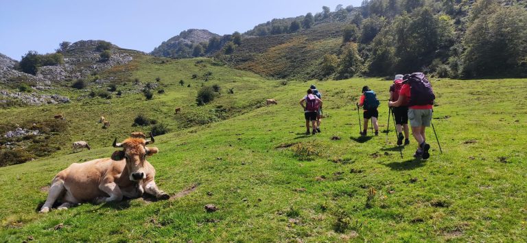 Trekking Lagos de Covadonga – Picos de Europa – foto 3