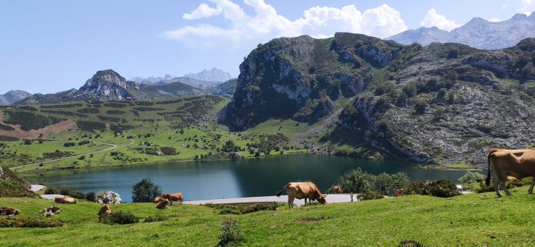 Trekking Lagos de Covadonga – Picos de Europa – foto 4