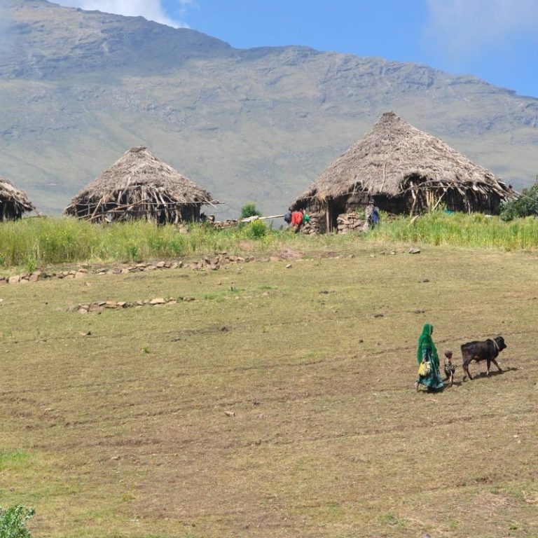 Trekking Montañas Simien – foto 8
