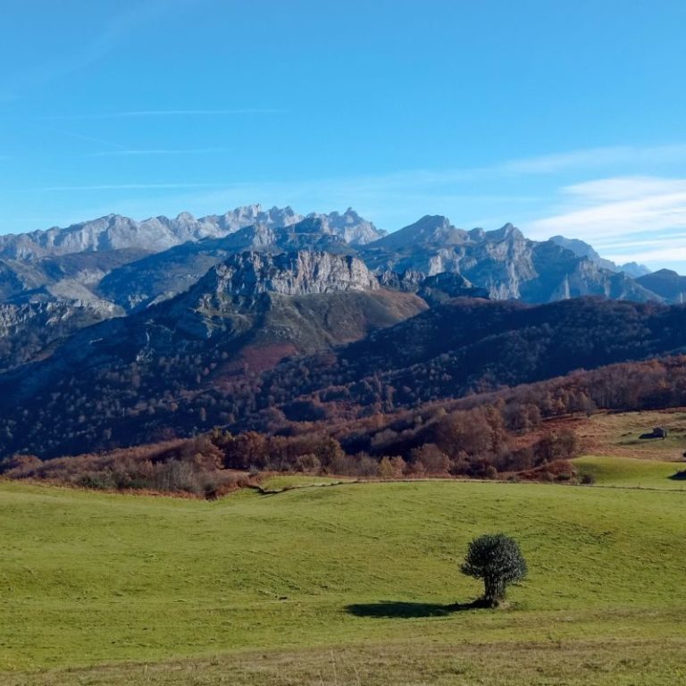 Trekking Parque Natural de Ponga – foto 5