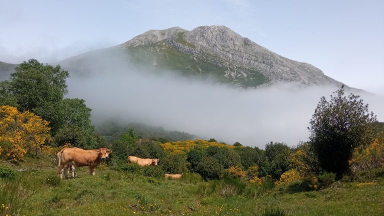 Trekking y ascenso a Peña Ubiña