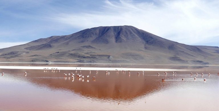 Viaje al Salar de Uyuni – foto 6